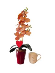 Keinotekoinen orkidea Valentina / 65cm + kuppi hinta ja tiedot | Keinotekoiset kukat | hobbyhall.fi