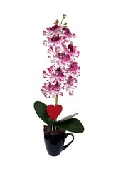 Keinotekoinen orkidea Nomeida / 50cm hinta ja tiedot | Keinotekoiset kukat | hobbyhall.fi