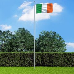 vidaXL Irlannin lippu 90x150 cm hinta ja tiedot | Liput | hobbyhall.fi