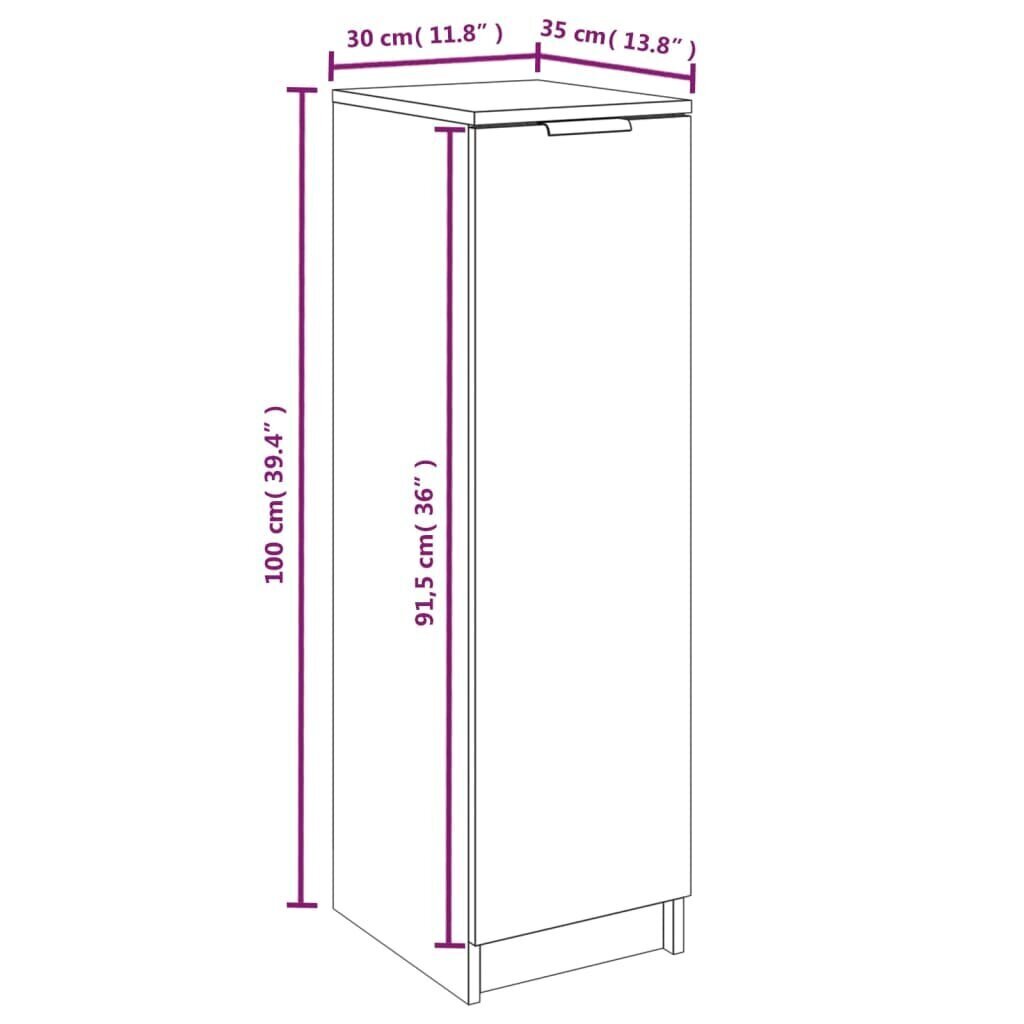 vidaXL Kenkäkaappi harmaa Sonoma 30x35x100 cm tekninen puu hinta ja tiedot | Kenkäkaapit ja -hyllyt | hobbyhall.fi