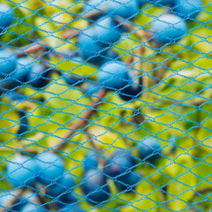 423502 Nature Bird Netting "Nano" 10x4 m Blue hinta ja tiedot | Puutarhatyökalut | hobbyhall.fi