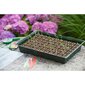 409320 Nature Propagator Mini Kit 7x11 Cells hinta ja tiedot | Puutarhatyökalut | hobbyhall.fi