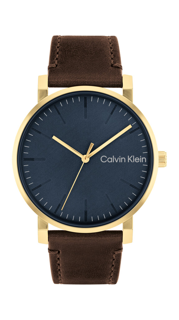 Miesten Rannekello Calvin Klein CK Slate hinta ja tiedot | Miesten kellot | hobbyhall.fi