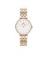 Naisten rannekello Daniel Wellington Petite hinta ja tiedot | Naisten kellot | hobbyhall.fi