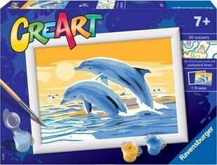 Ravensburger Paint by Numbers Delightful Dolphins hinta ja tiedot | Maalaa numeroiden mukaan | hobbyhall.fi