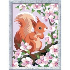 Numbers Spring Squirrel Ravensburger Paint hinta ja tiedot | Maalaa numeroiden mukaan | hobbyhall.fi