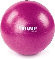 Jumppapallo Tiguar Easy Ball, 25cm hinta ja tiedot | Voimistelupallot | hobbyhall.fi