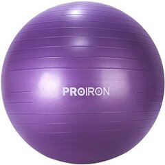 Prolron joogapallo, 65cm, violetti hinta ja tiedot | Voimistelupallot | hobbyhall.fi