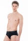 Alushousut John Frank JF3BRIEF04-L hinta ja tiedot | Miesten alushousut | hobbyhall.fi