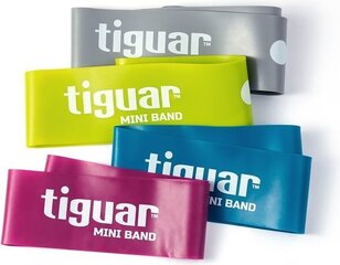 Vastuskuminauhasetti TIGUAR® Mini Bands 2.0 hinta ja tiedot | Tiguar Kuntoiluvälineet | hobbyhall.fi