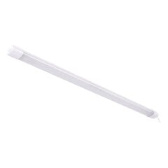 FRODO LED 36w cw 3810 lm pölytiivis valaisin smd LED STRÜHM 32x1210x47mm hinta ja tiedot | Upotettavat valaisimet ja LED-valaisimet | hobbyhall.fi