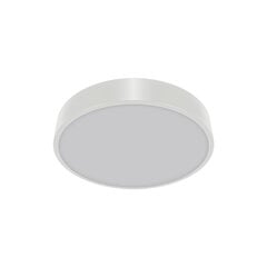 TOTEM LED c 16w nw valkoinen 1590 lm katto smd LED-valaisin STRÜHM 55x300x300mm hinta ja tiedot | Upotettavat valaisimet ja LED-valaisimet | hobbyhall.fi