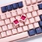 Ducky One 3 Fuji MX-Brown US hinta ja tiedot | Näppäimistöt | hobbyhall.fi