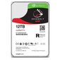 Seagate ST12000NT001 hinta ja tiedot | Kovalevyt | hobbyhall.fi