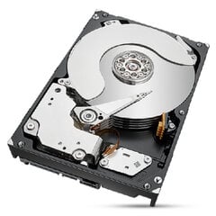 Seagate ST8000NT001 hinta ja tiedot | Kovalevyt | hobbyhall.fi