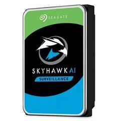 Seagate SkyHawk ST24000VE002 hinta ja tiedot | Kovalevyt | hobbyhall.fi