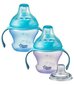 TOMMEE TIPPEE kahvallinen juomapullo 4kk+ hinta ja tiedot | Tuttipullot ja tarvikkeet | hobbyhall.fi