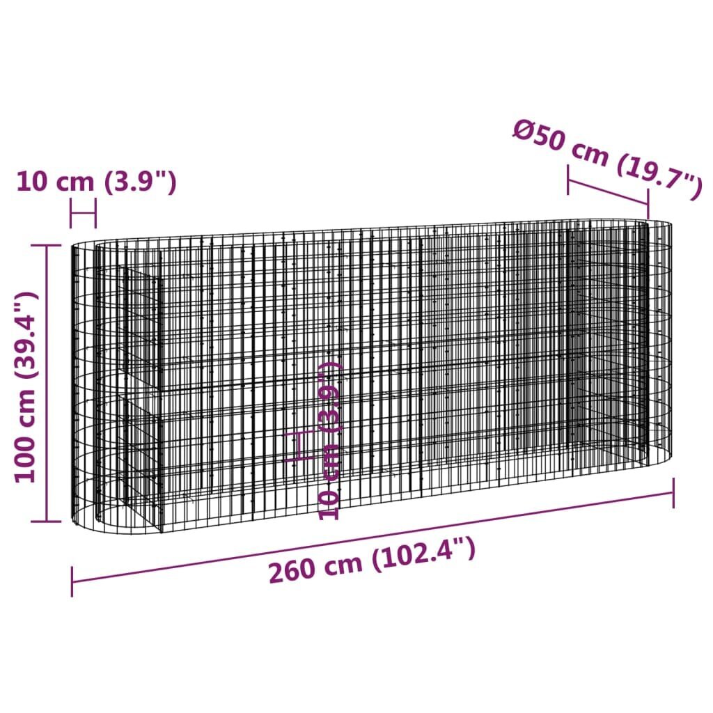 vidaXL Korotettu kivikori/kukkalaatikko galvanoitu rauta 260x50x100 cm hinta ja tiedot | Istutusruukut ja minikasvihuoneet | hobbyhall.fi