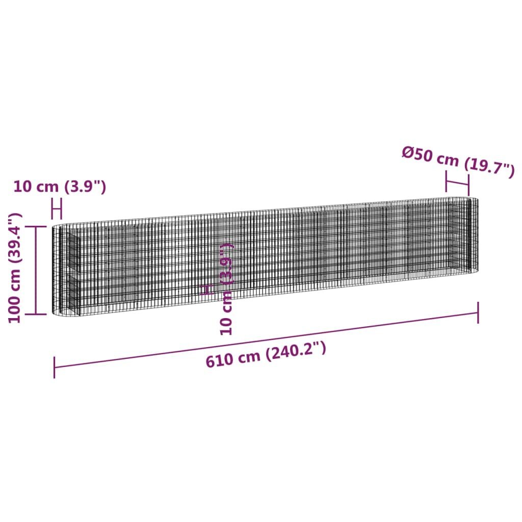 vidaXL Korotettu kivikori/kukkalaatikko galvanoitu rauta 610x50x100 cm hinta ja tiedot | Istutusruukut ja minikasvihuoneet | hobbyhall.fi