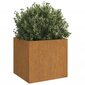 vidaXL Kukkalaatikot 2 kpl 42x40x39 cm Corten teräs hinta ja tiedot | Kukkalaatikot | hobbyhall.fi