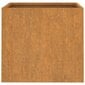 vidaXL Kukkalaatikot 2 kpl 42x40x39 cm Corten teräs hinta ja tiedot | Kukkalaatikot | hobbyhall.fi