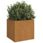 vidaXL Kukkalaatikot 2 kpl 49x47x46 cm Corten teräs hinta ja tiedot | Kukkalaatikot | hobbyhall.fi