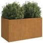 vidaXL Kukkalaatikko 62x40x39 cm Corten teräs hinta ja tiedot | Kukkalaatikot | hobbyhall.fi