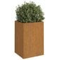 vidaXL Kukkalaatikko 52x48x75 cm Corten teräs hinta ja tiedot | Kukkalaatikot | hobbyhall.fi