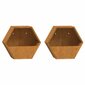 vidaXL Kukkalaatikot 2 kpl ruoste Corten teräs 30x10x25 cm hinta ja tiedot | Istutusruukut ja minikasvihuoneet | hobbyhall.fi