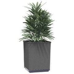 vidaXL Kukkalaatikot 2 kpl musta 30x30x37 cm polypropeeni hinta ja tiedot | Kukkalaatikot | hobbyhall.fi