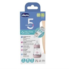 CHICCO Perfect 5 tuttipullo, vaaleanpunainen, 150 ml hinta ja tiedot | Tuttipullot ja tarvikkeet | hobbyhall.fi