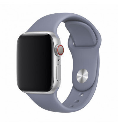 Devia Deluxe Series Sport Band Lavender Gray hinta ja tiedot | Älykellojen ja aktiivisuusrannekkeiden lisätarvikkeet | hobbyhall.fi