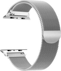 Tech-Protect Watch Band Silver hinta ja tiedot | Älykellojen ja aktiivisuusrannekkeiden lisätarvikkeet | hobbyhall.fi