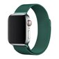 Magnetic Watch Strap Green hinta ja tiedot | Älykellojen ja aktiivisuusrannekkeiden lisätarvikkeet | hobbyhall.fi