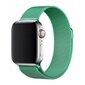 Magnetic Watch Strap Green hinta ja tiedot | Älykellojen ja aktiivisuusrannekkeiden lisätarvikkeet | hobbyhall.fi