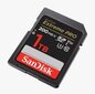 MEMORY SDXC 1TB UHS-I/SDSDXXD-1T00-GN4IN SANDISK hinta ja tiedot | Puhelimen muistikortit | hobbyhall.fi