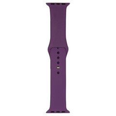 Beline Watch Silicone Purple hinta ja tiedot | Älykellojen ja aktiivisuusrannekkeiden lisätarvikkeet | hobbyhall.fi