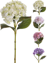 Keinotekoinen kasvi Hortensia, 65 cm hinta ja tiedot | Sisustustuotteet | hobbyhall.fi