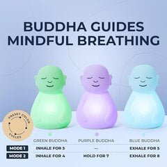 Meditaatiotyökalu Buddhan hengitys hinta ja tiedot | Phoebe Lamput ja valaisimet | hobbyhall.fi
