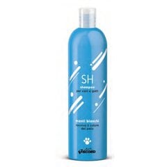 Shampoo Record valkoiselle turkille, 250 ml hinta ja tiedot | Shampoot ja hoitoaineet lemmikeille | hobbyhall.fi