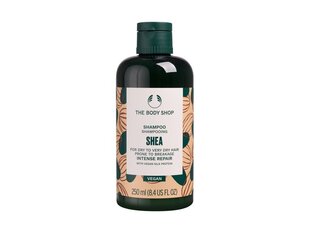 Shampoo The Body Shop Shea, 250 ml hinta ja tiedot | Shampoot | hobbyhall.fi