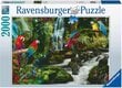 Ravensburger Puzzle 2000 papukaijat viidakossa 17111 hinta ja tiedot | Palapelit | hobbyhall.fi