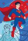Clementoni palapeli 3x48 SuperColor DC Comics 25272 hinta ja tiedot | Palapelit | hobbyhall.fi