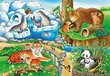 Ravensburger Puzzle 2x12 Eläimet eläintarhassa 07602 hinta ja tiedot | Palapelit | hobbyhall.fi