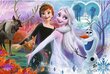 Trefl palapeli 60 XXL Dancing Sisters Frozen 50010 hinta ja tiedot | Palapelit | hobbyhall.fi