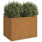 vidaXL Kukkalaatikko 62x47x46 cm Corten teräs hinta ja tiedot | Kukkalaatikot | hobbyhall.fi