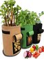 Monikäyttöinen laatikko kasvien kasvatukseen, Electronics LV-254, 1 kpl hinta ja tiedot | Istutusruukut ja minikasvihuoneet | hobbyhall.fi