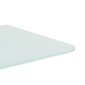 vidaXL Seinäkiinnitettävän pisuaarin näkösuoja 90x40 cm karkaistu lasi hinta ja tiedot | Suihkuseinät ja -ovet | hobbyhall.fi