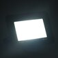 vidaXL LED-valonheitin 30 W kylmä valkoinen hinta ja tiedot | Taskulamput ja valonheittimet | hobbyhall.fi