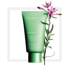 Puhdistava kasvot Mak-Clay Clarins SOS Pure Rebalancing 15 ml hinta ja tiedot | Kasvonaamiot ja silmänalusaamiot | hobbyhall.fi